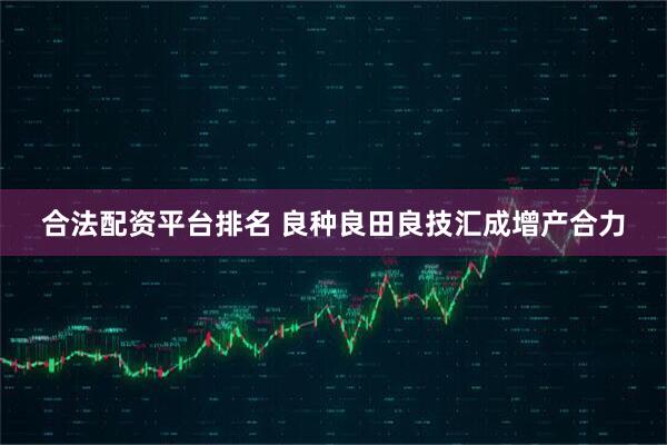合法配资平台排名 良种良田良技汇成增产合力