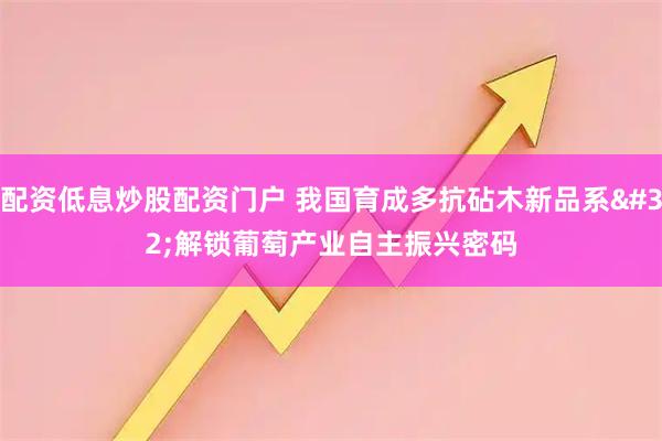 配资低息炒股配资门户 我国育成多抗砧木新品系 解锁葡萄产业自主振兴密码